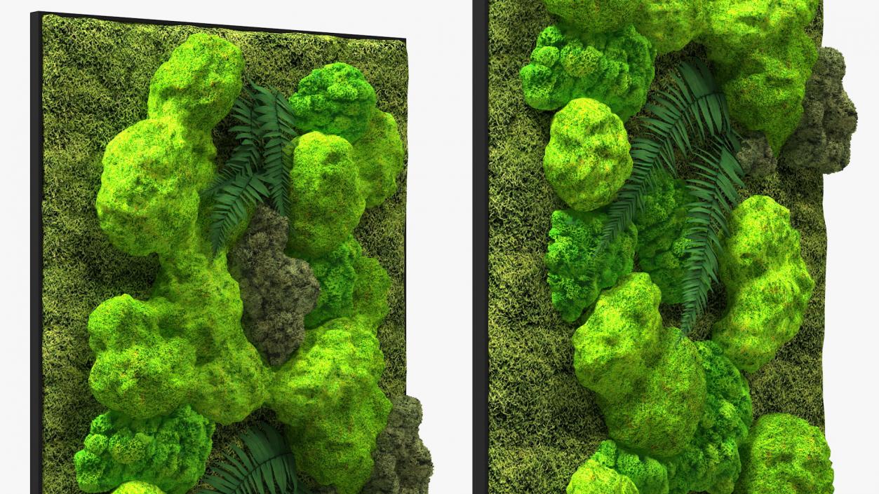 Green Moss Wall with Preserved Plants 3D