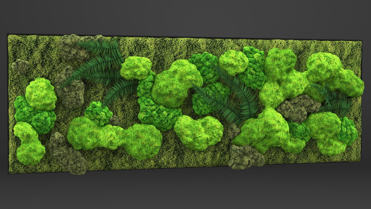 Green Moss Wall with Preserved Plants 3D