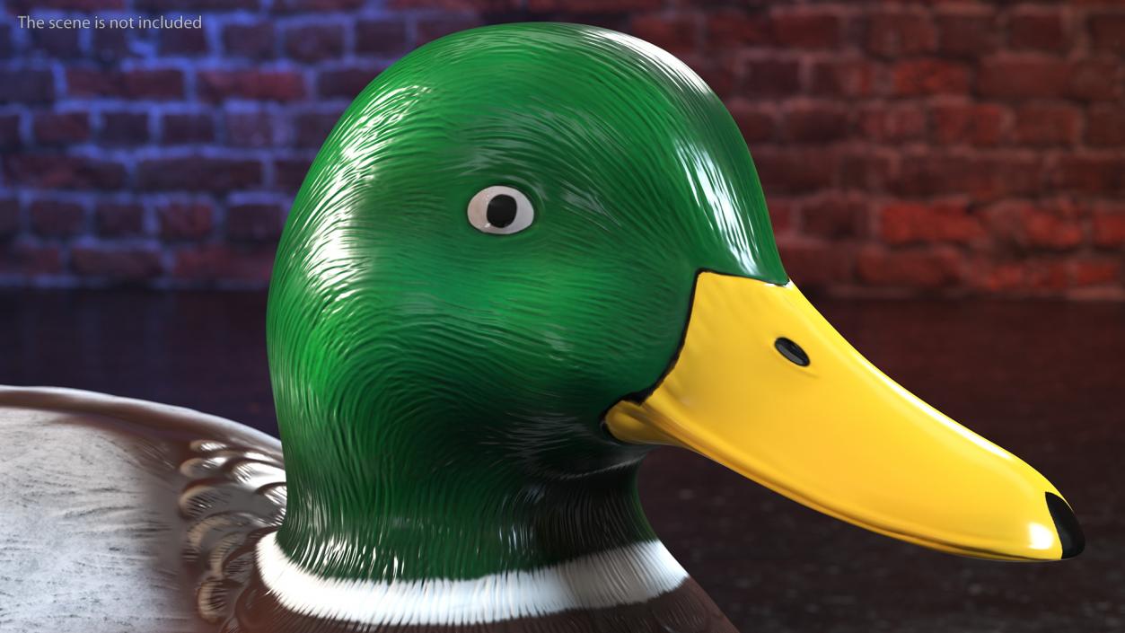 3D Duck Decoy Drake