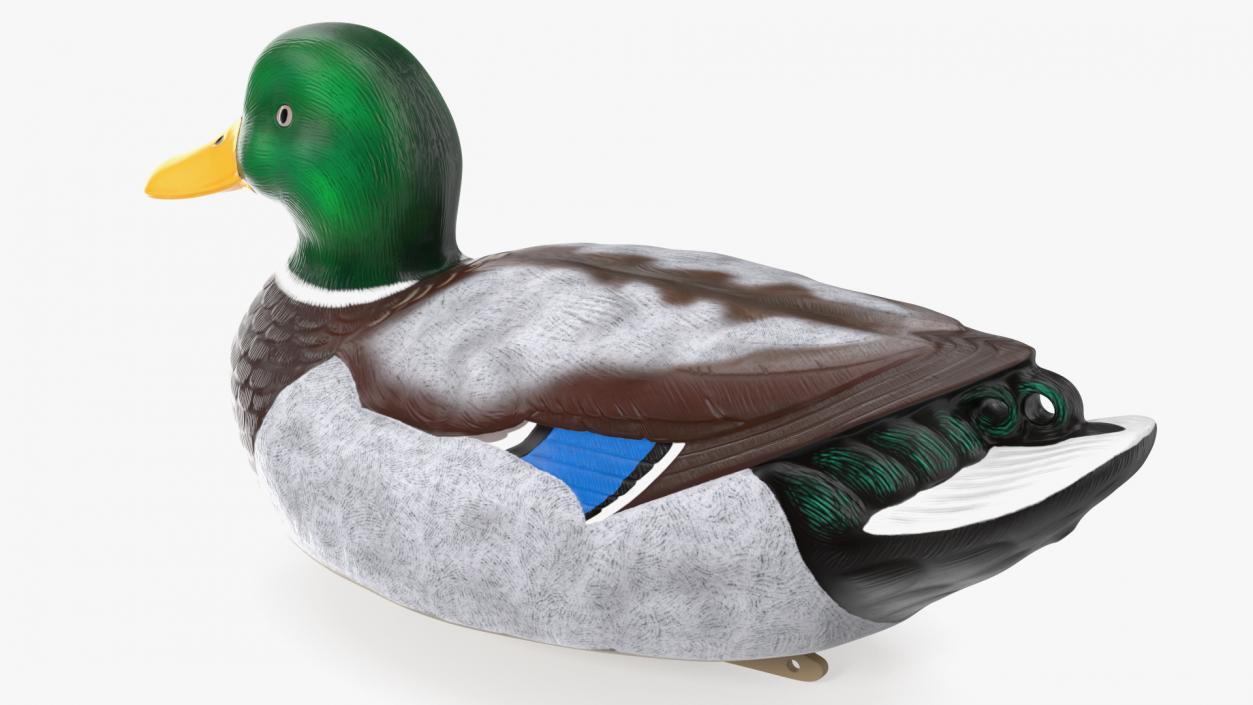 3D Duck Decoy Drake