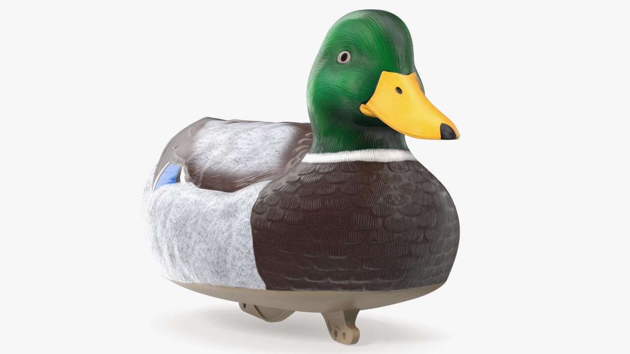 3D Duck Decoy Drake