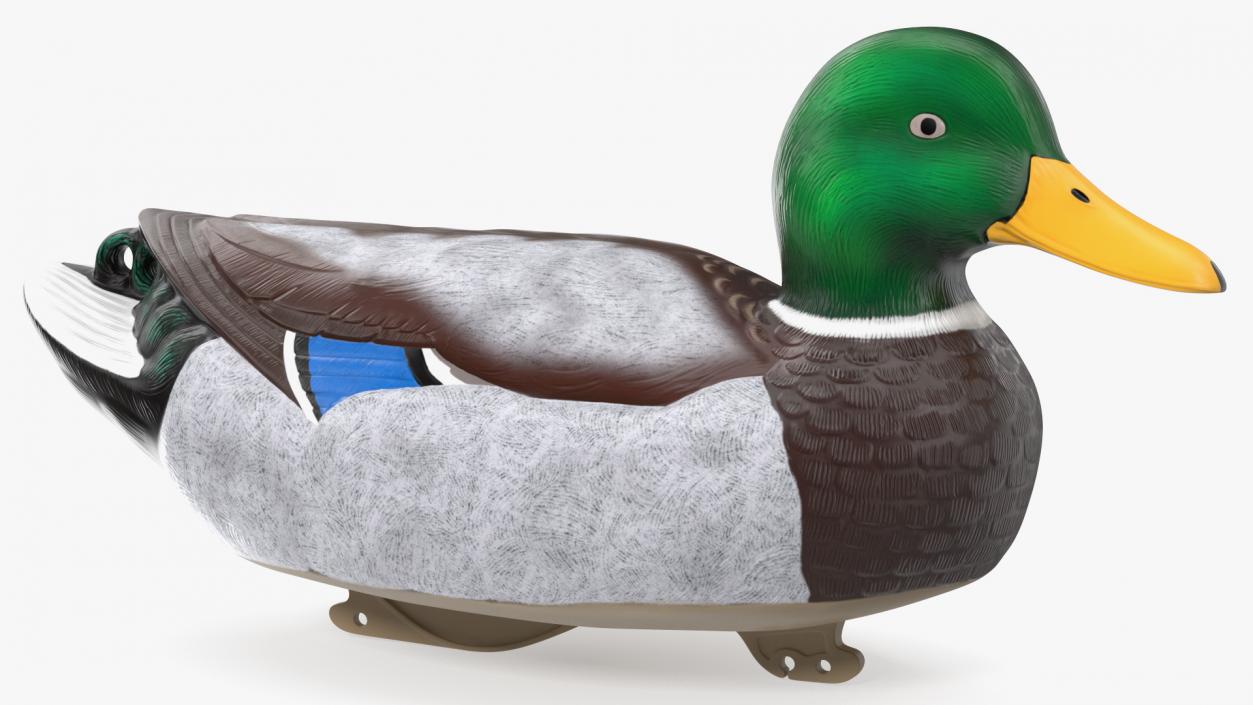 3D Duck Decoy Drake