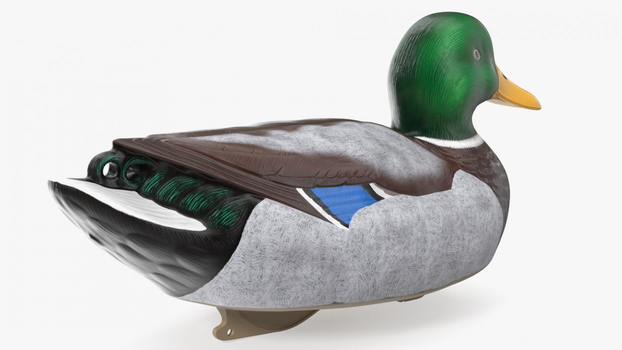 3D Duck Decoy Drake