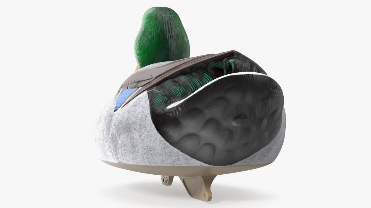 3D Duck Decoy Drake