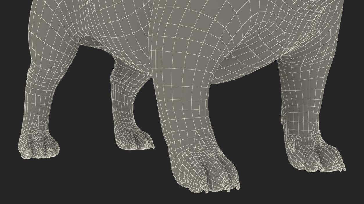 3D Bulldog Fur Rigged model