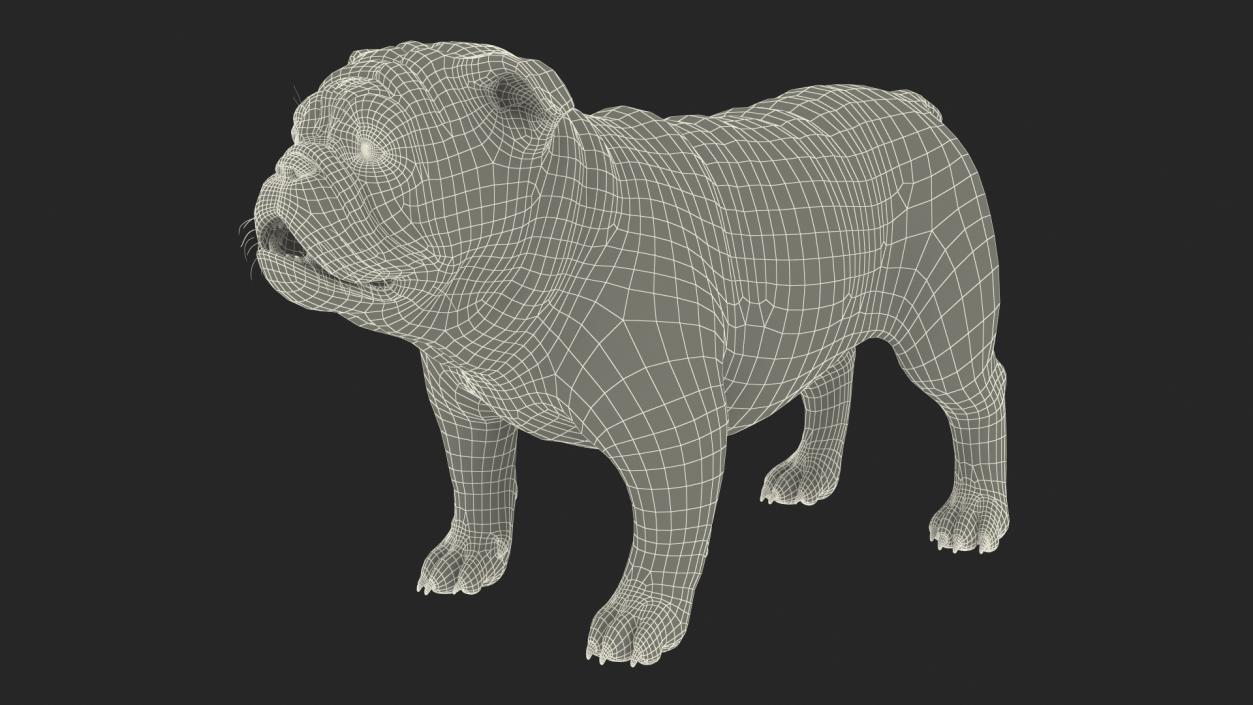 3D Bulldog Fur Rigged model