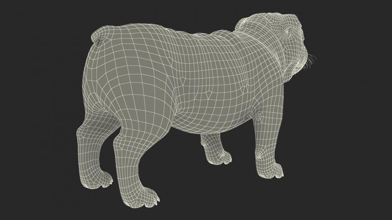 3D Bulldog Fur Rigged model