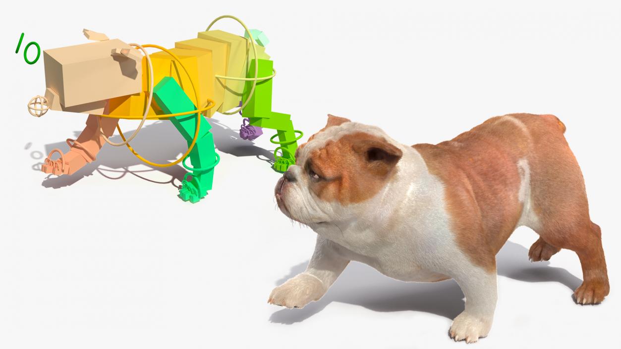 3D Bulldog Fur Rigged model