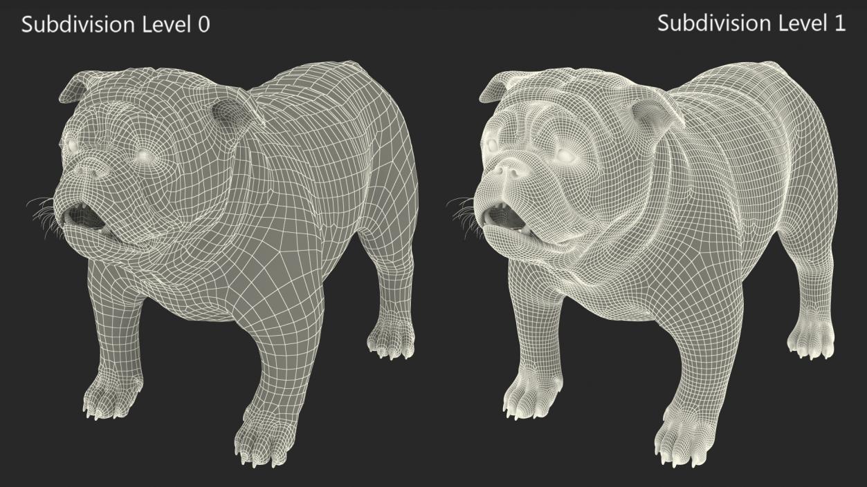 3D Bulldog Fur Rigged model