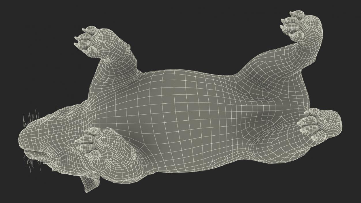 3D Bulldog Fur Rigged model