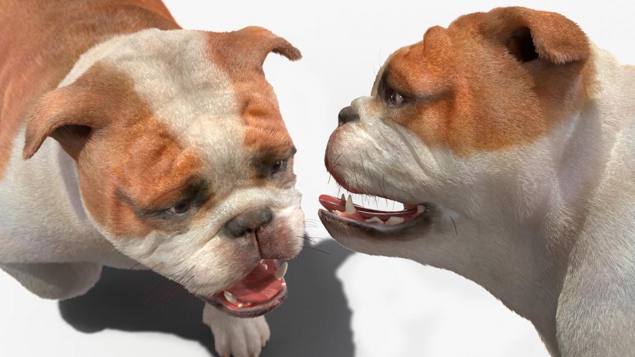 Walking Bulldog Fur 3D model