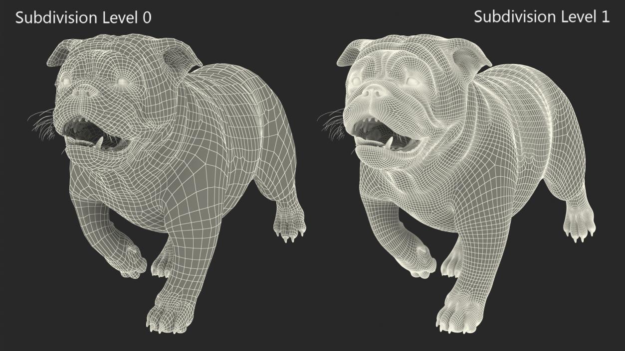 Walking Bulldog Fur 3D model