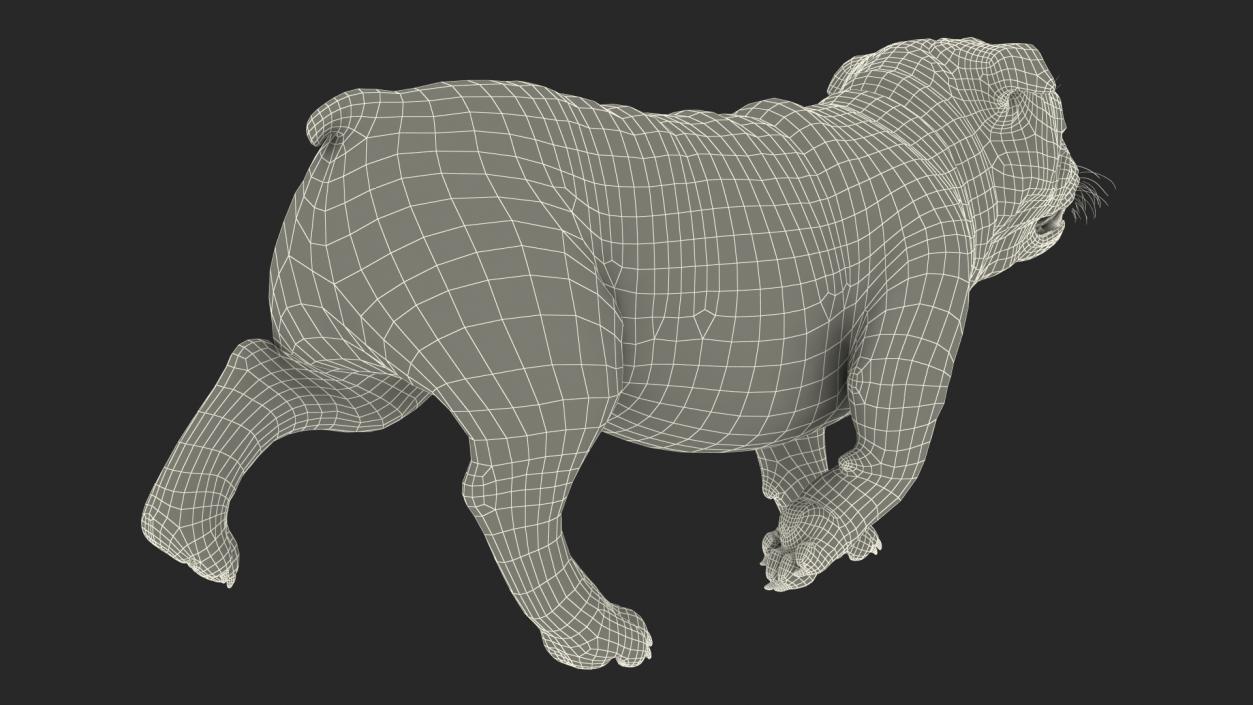 Walking Bulldog Fur 3D model