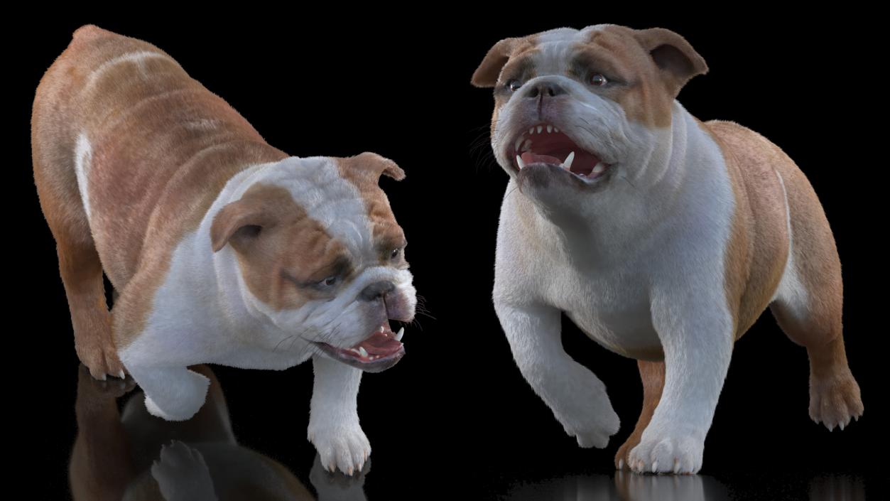 Walking Bulldog Fur 3D model