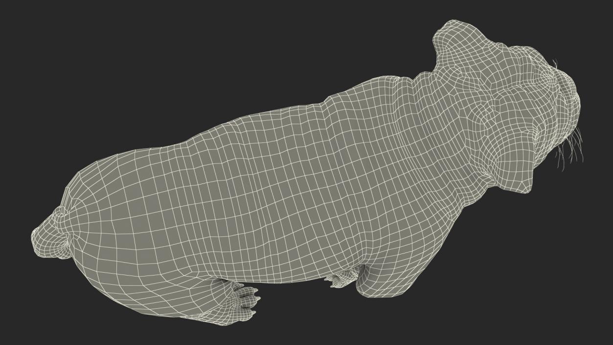 Walking Bulldog Fur 3D model