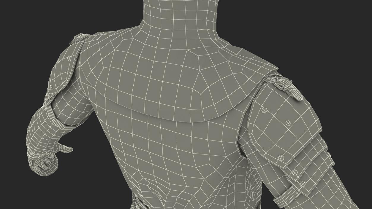 3D Crusader Knight King Rigged for Maya