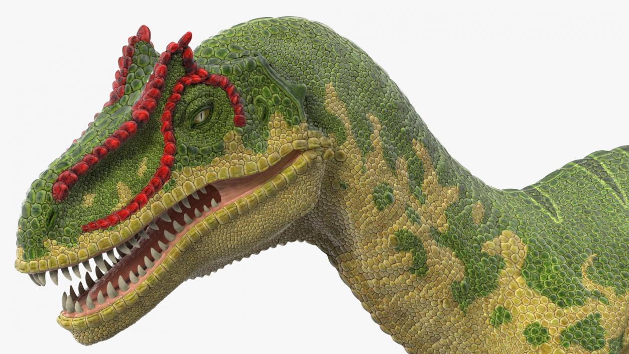 3D Allosaurus Running model