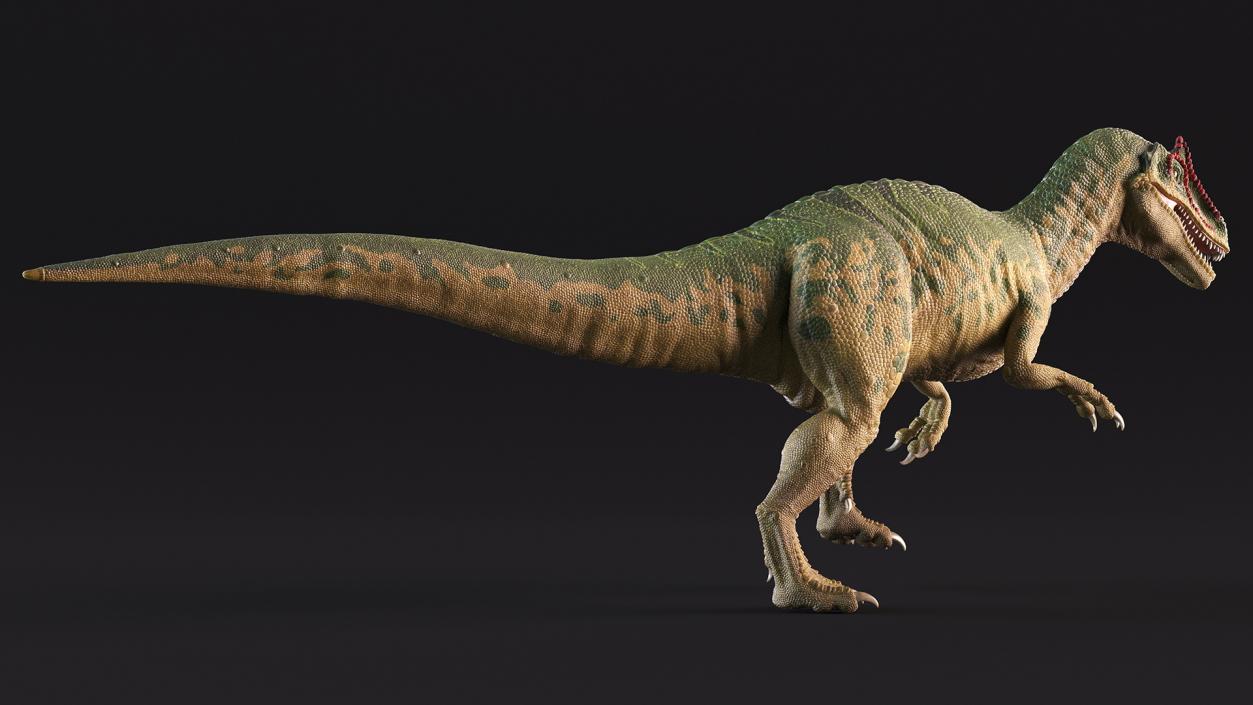 3D Allosaurus Running model