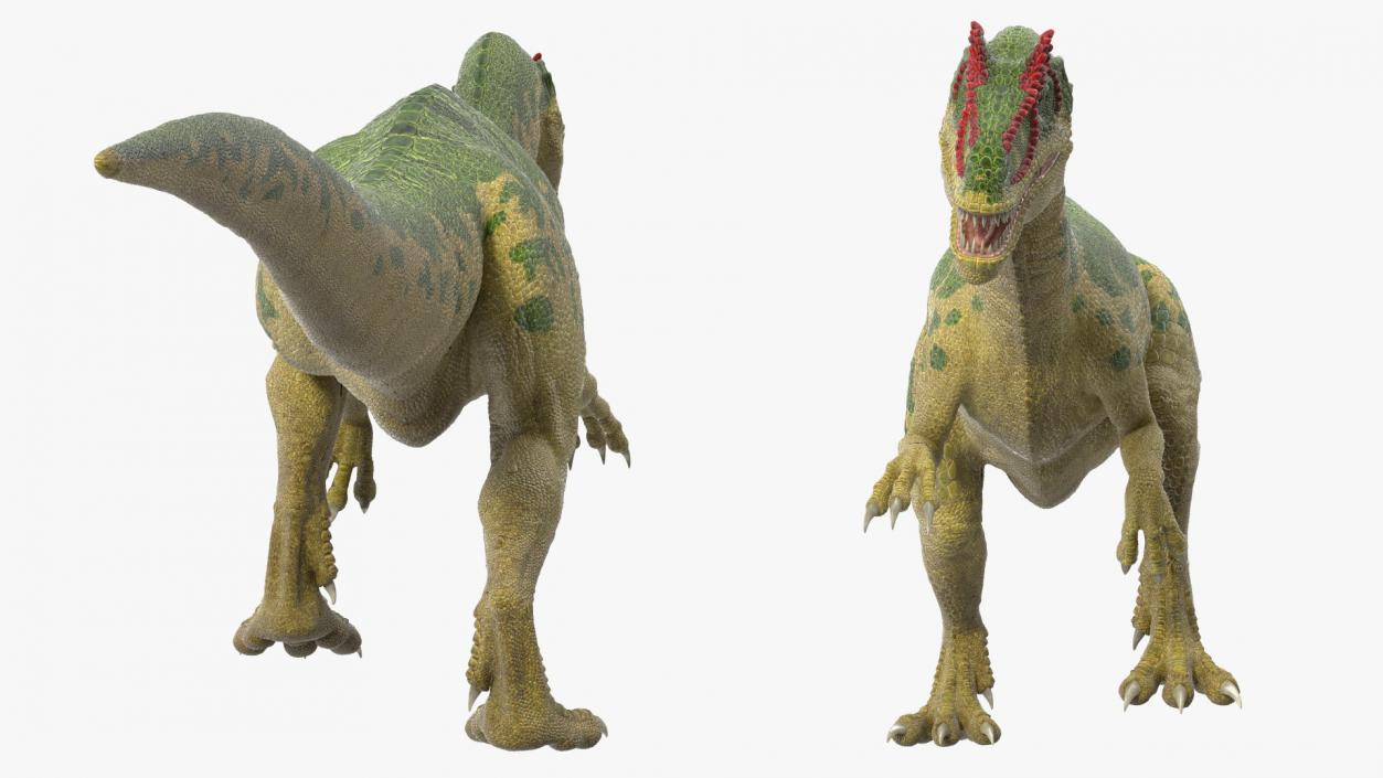 3D Allosaurus Running model