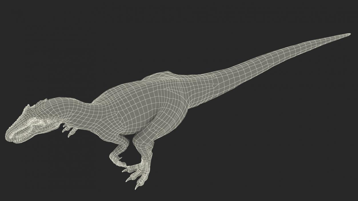 3D Allosaurus Running model