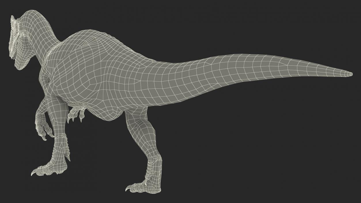 3D Allosaurus Running model