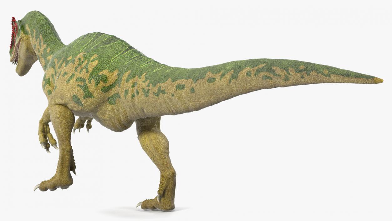 3D Allosaurus Running model