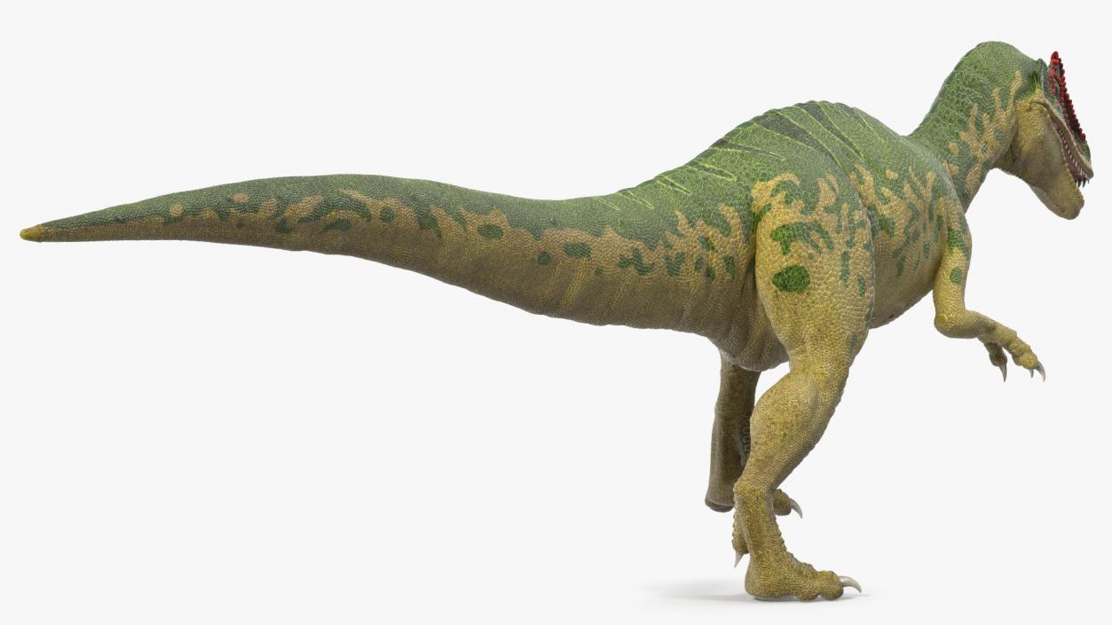 3D Allosaurus Running model