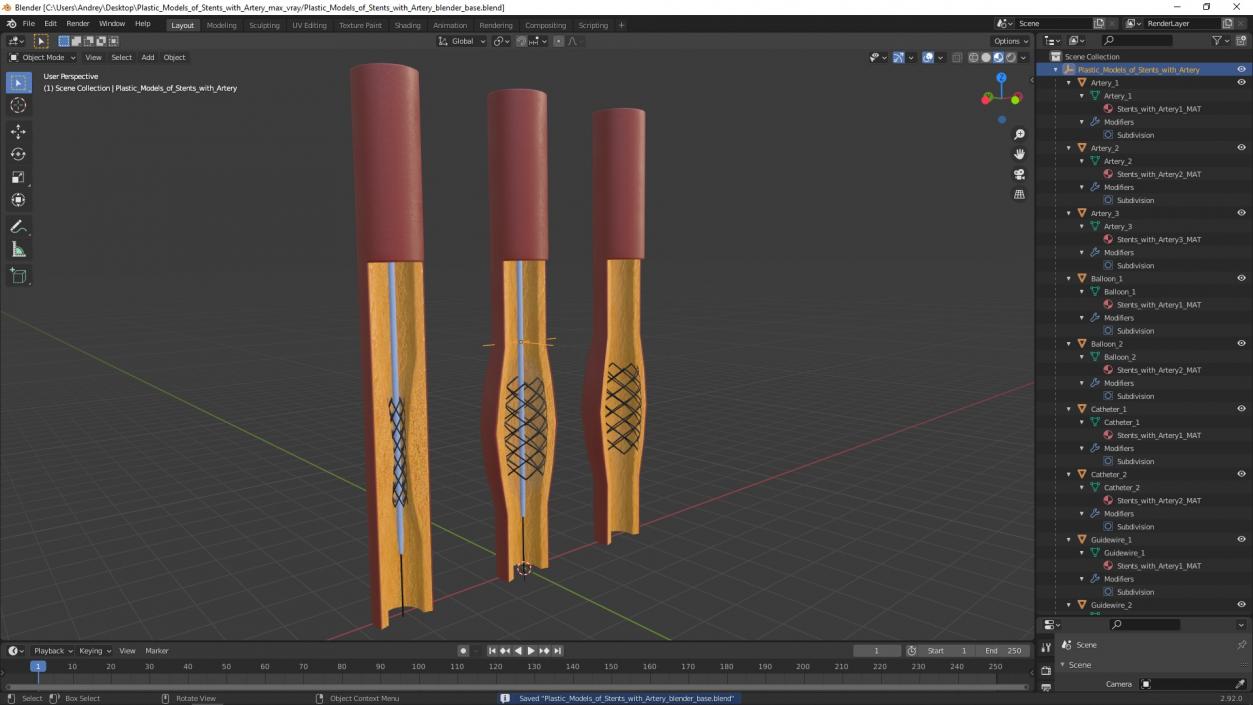 3D Plastic Models of Stents with Artery 2 model