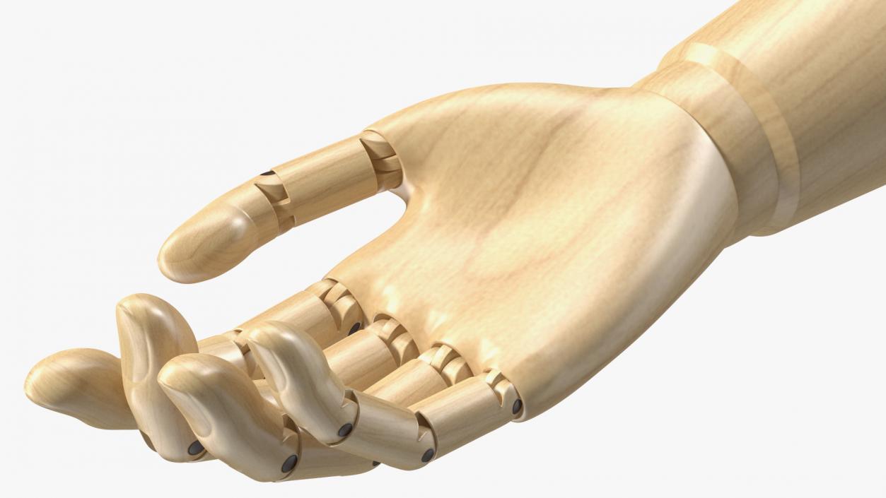 3D Mannequin Wooden Hand