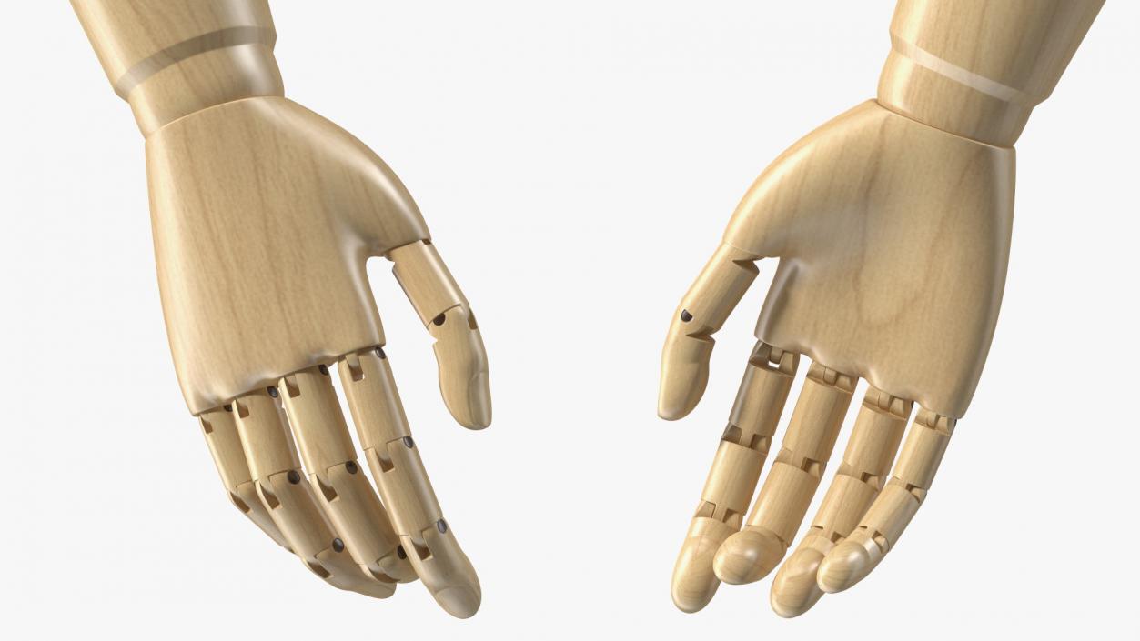 3D Mannequin Wooden Hand