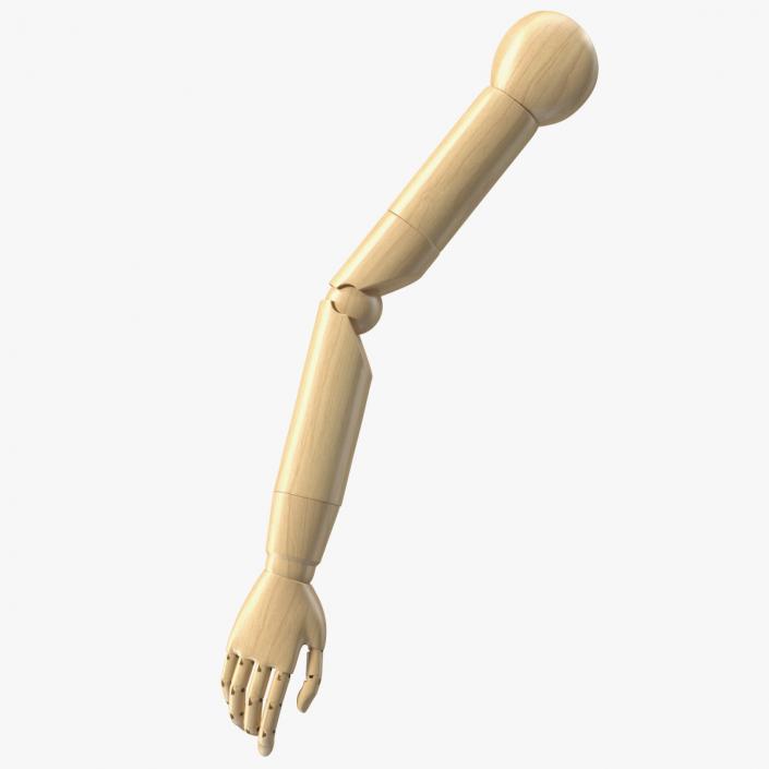 3D Mannequin Wooden Hand