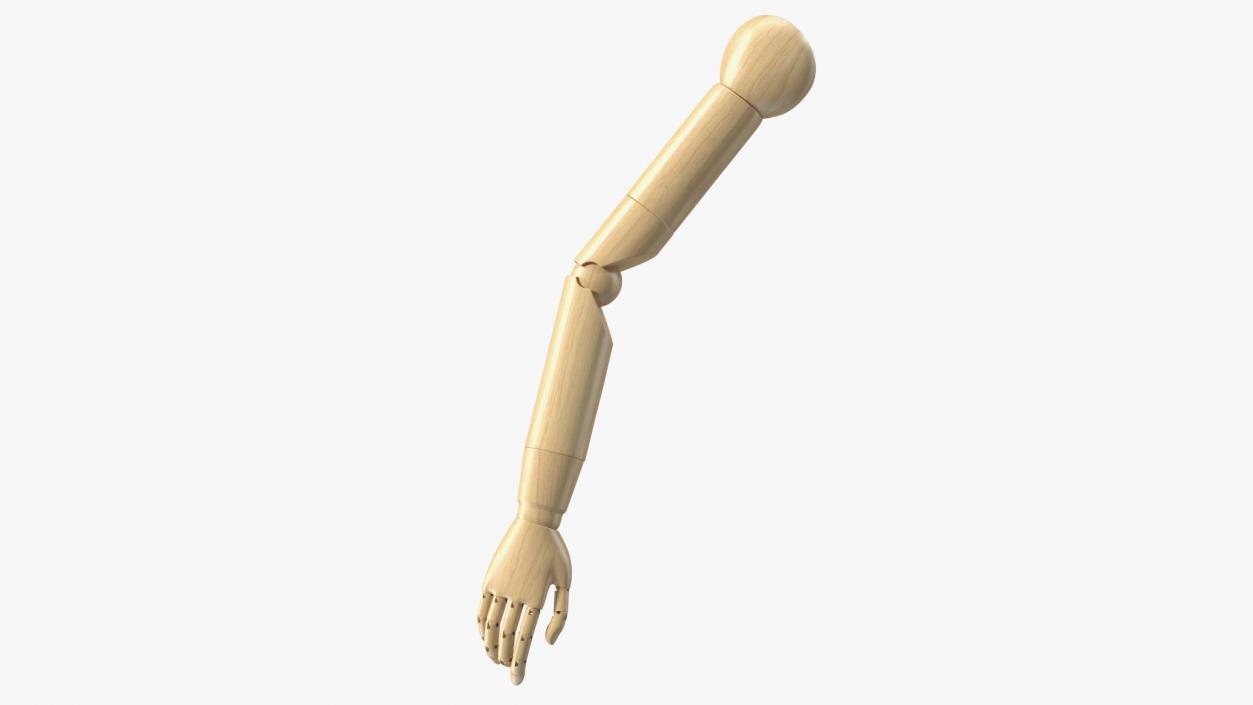 3D Mannequin Wooden Hand