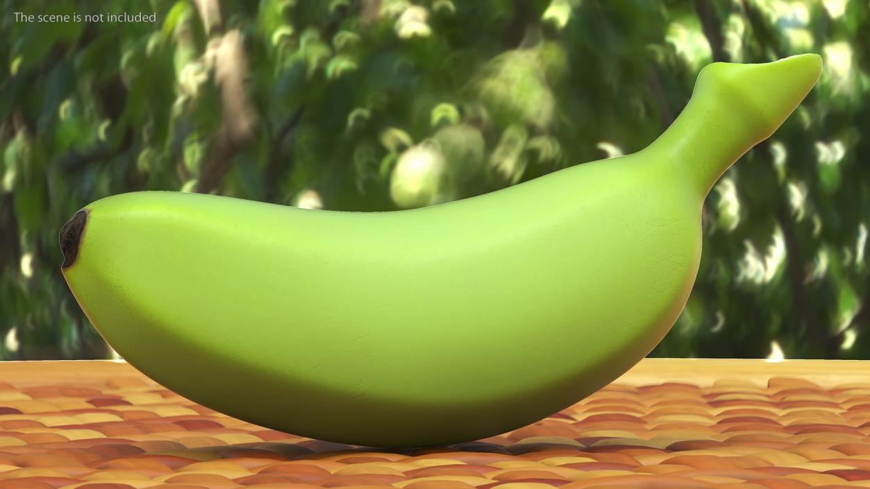 Baby Banana Green 3D