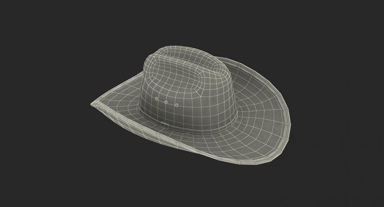 Hats Collection 5 3D