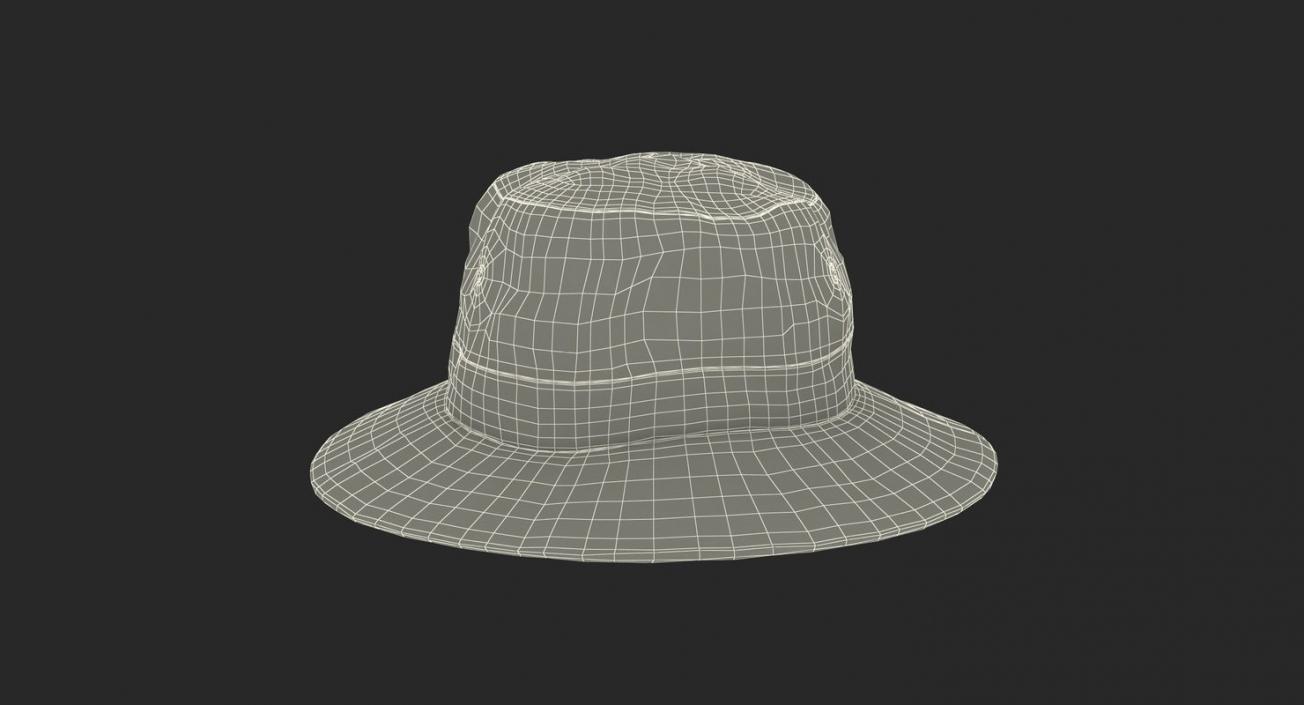 Hats Collection 5 3D