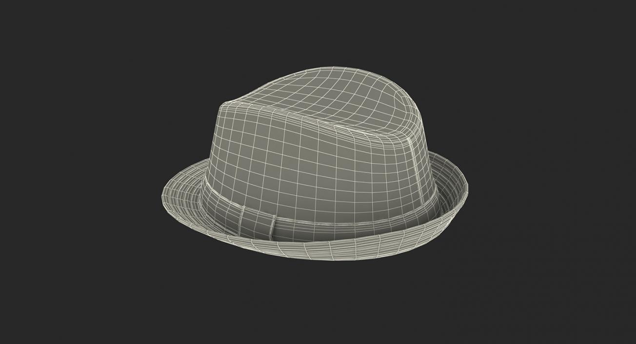 Hats Collection 5 3D