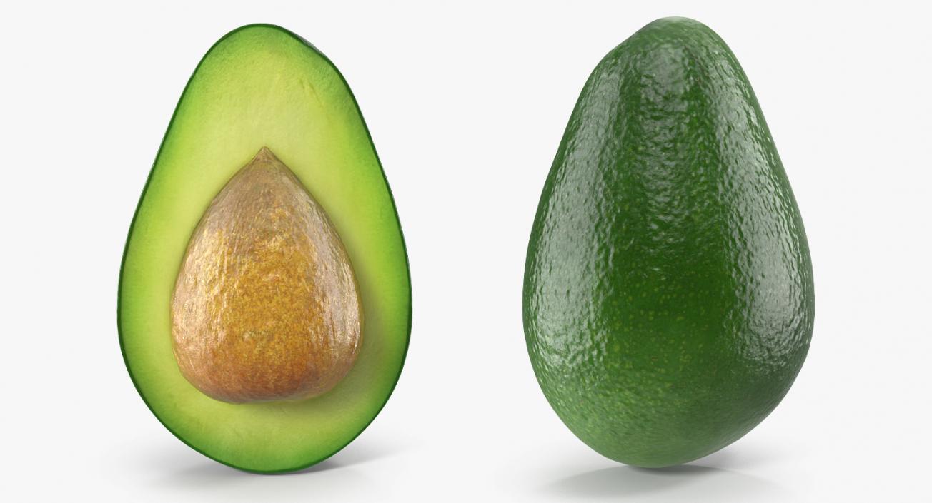 3D Avocado Collection model