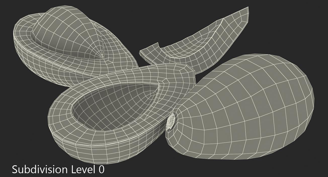 3D Avocado Collection model