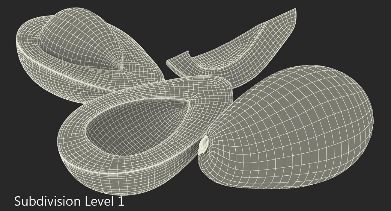 3D Avocado Collection model