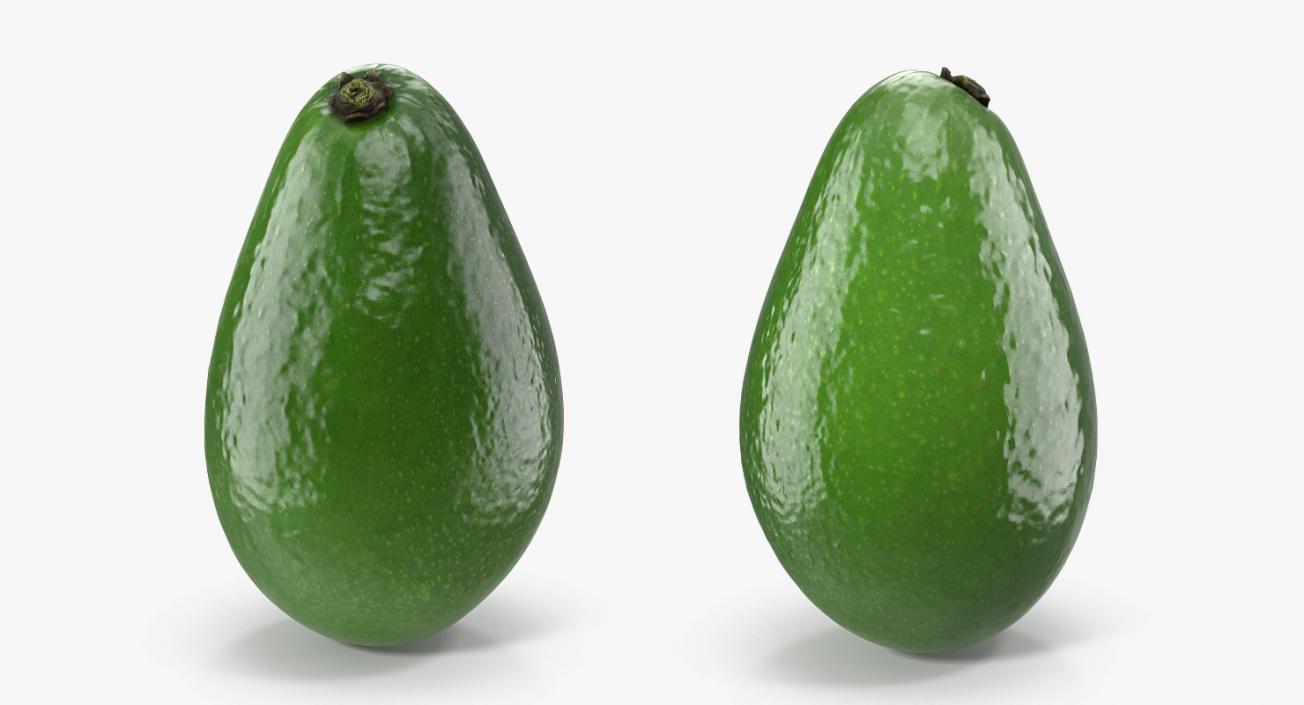 3D Avocado Collection model