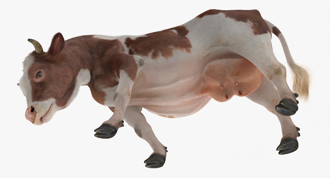 3D Holstein Cow Eating Pose with Fur model