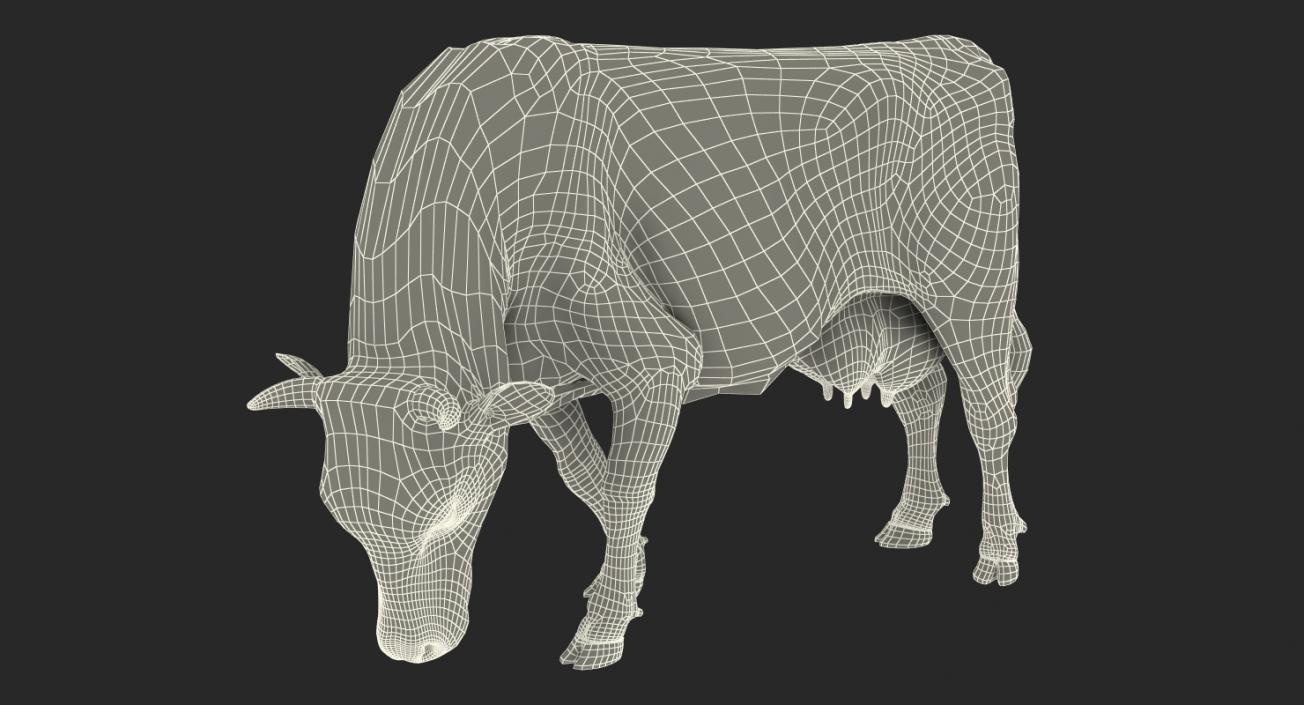 3D Holstein Cow Eating Pose with Fur model