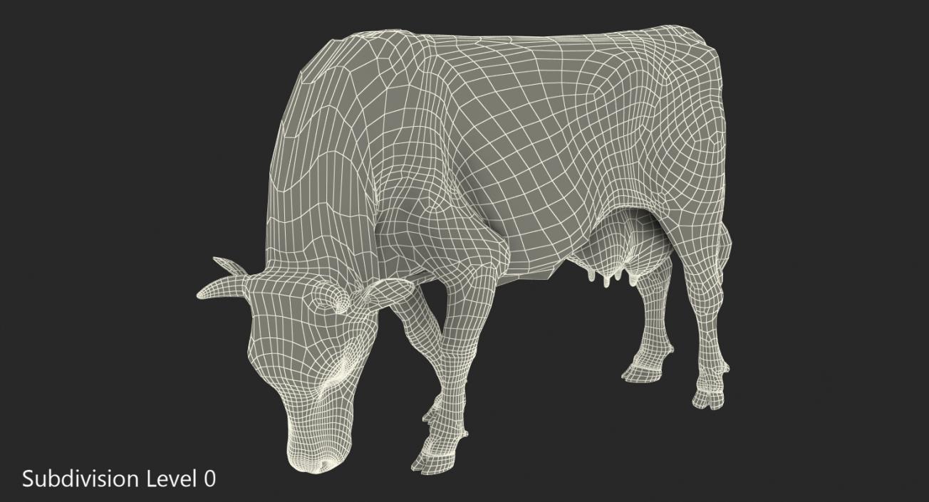 3D Holstein Cow Eating Pose with Fur model