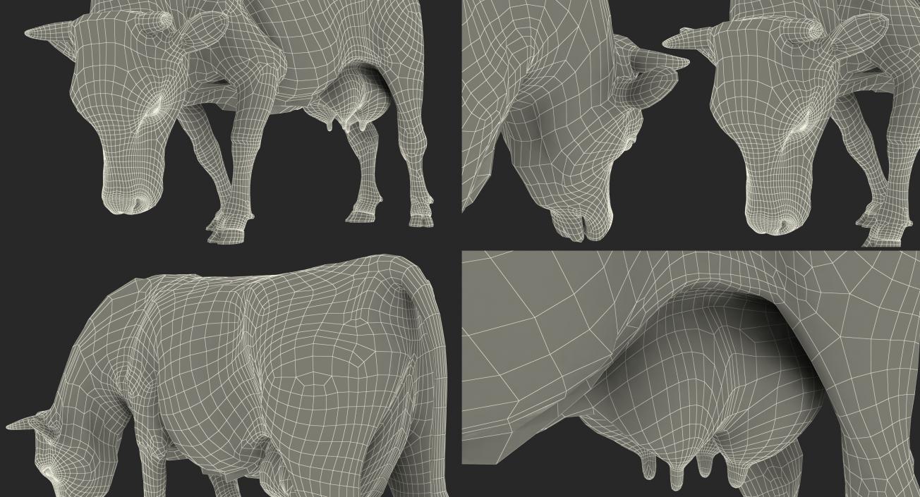 3D Holstein Cow Eating Pose with Fur model