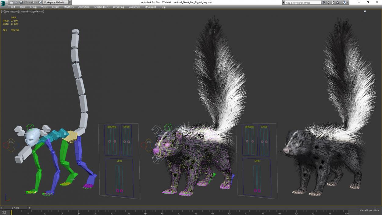 3D Animal Skunk Fur Rigged model