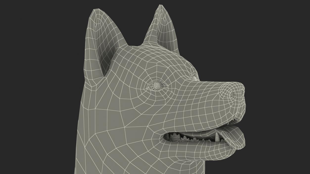 3D Siberian Husky Gray and White Rigged