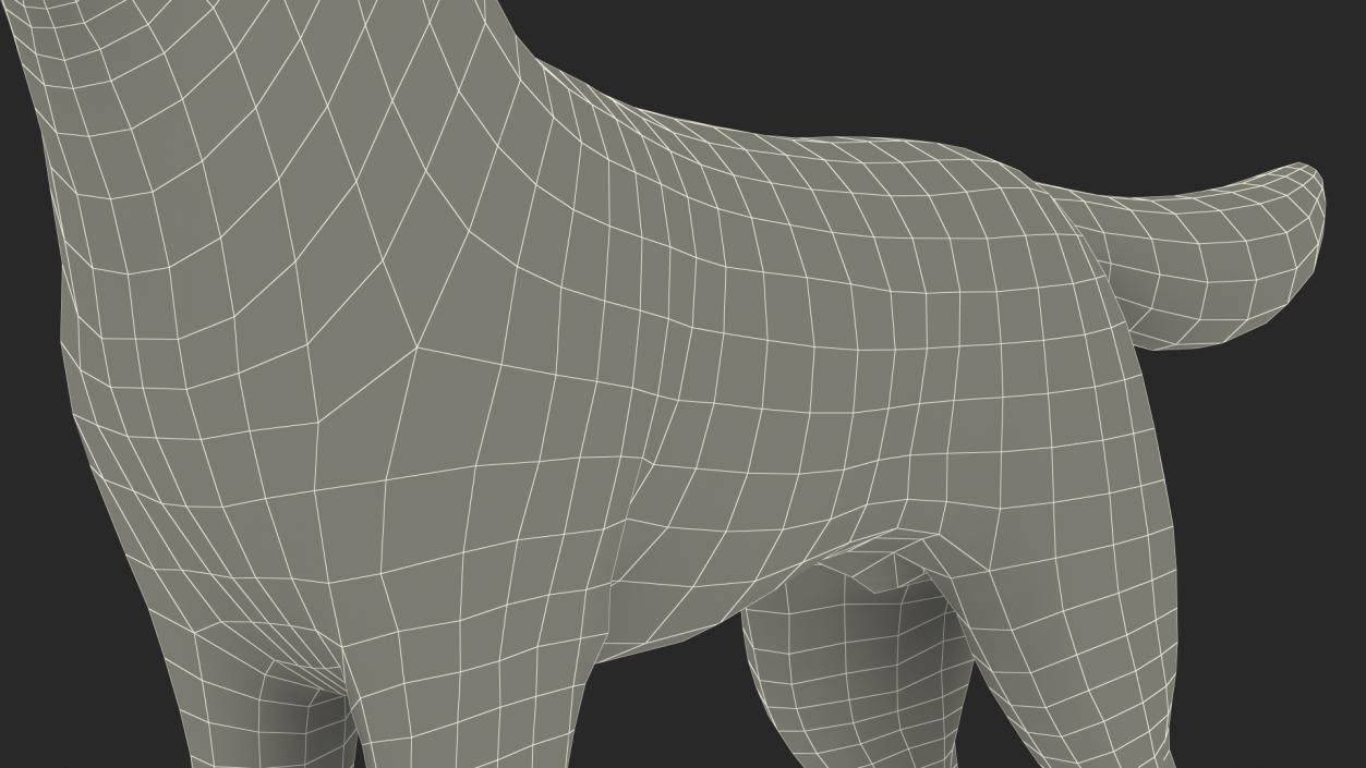 3D Siberian Husky Gray and White Rigged