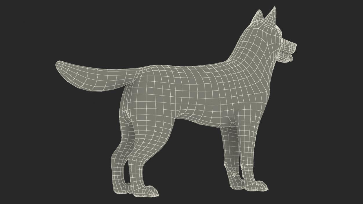 3D Siberian Husky Gray and White Rigged