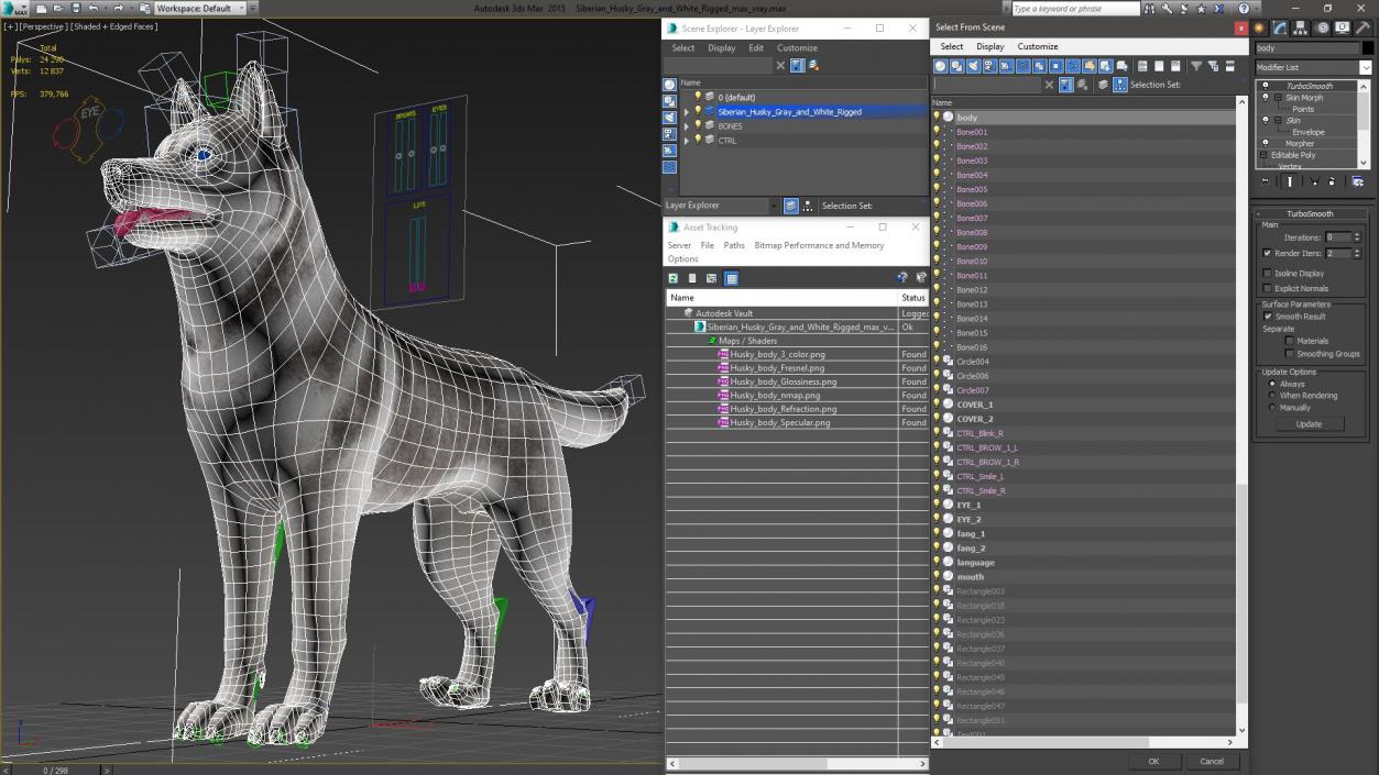 3D Siberian Husky Gray and White Rigged