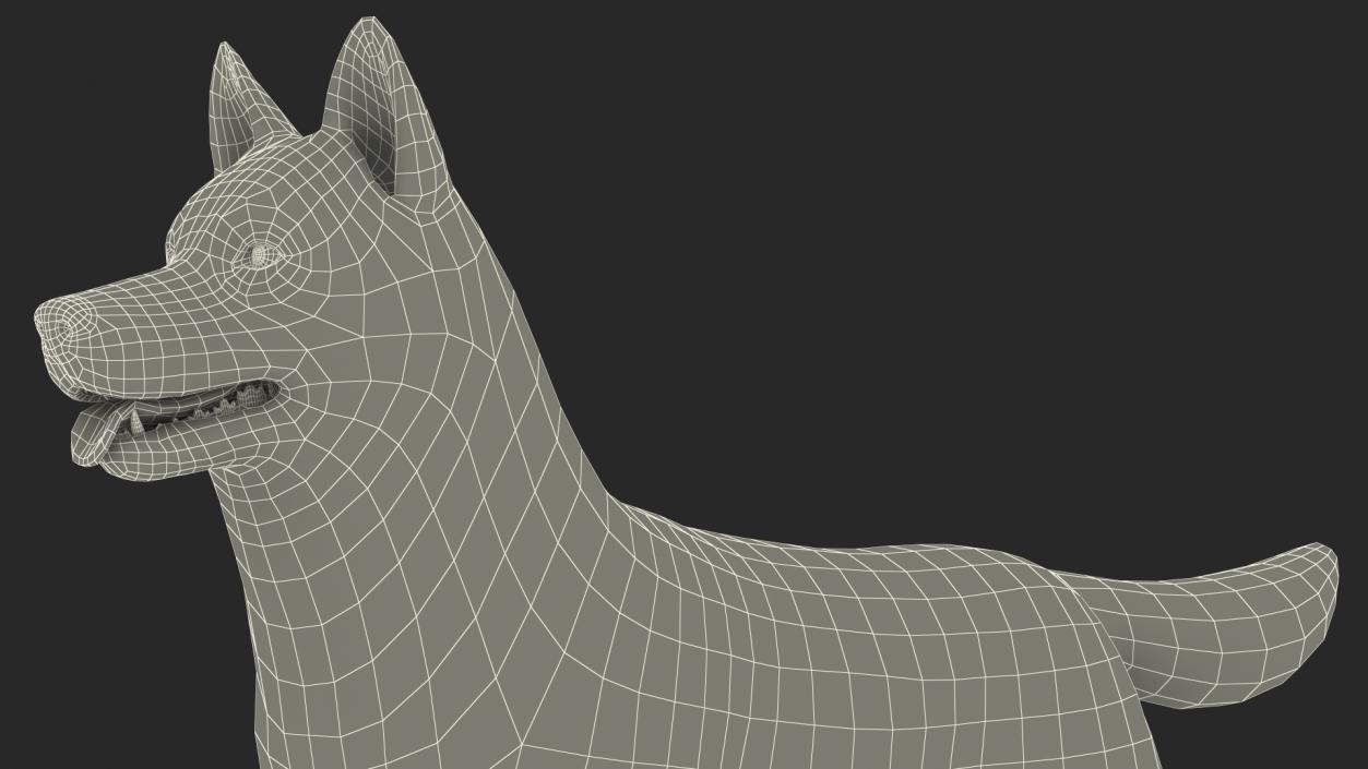 3D Siberian Husky Gray and White Rigged